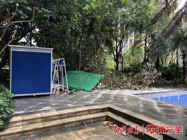 南宁一小区物业计划对外开放游泳池引热议：游泳池权益究竟属于谁的？