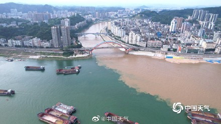 广西梧州出现鸳鸯江景观 一黄一绿泾渭分明