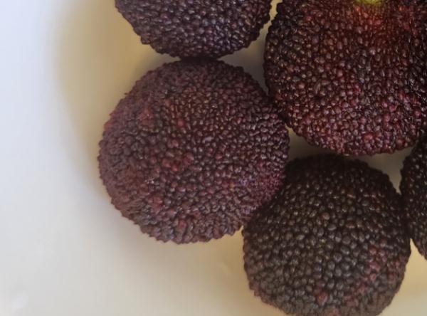 杨梅洗不干净?掉色是因染色?正确答案是...... 杨梅洗不干净?掉色是因染色?正确答案是......