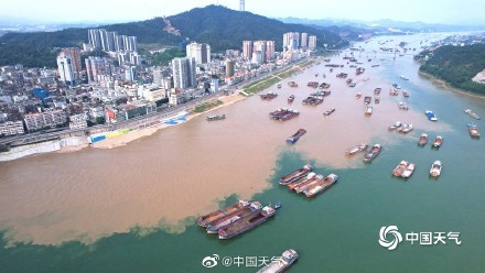 广西梧州出现鸳鸯江景观 一黄一绿泾渭分明