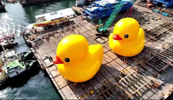 时隔十年!大黄鸭再抵港(单身慎点……) 时隔十年!大黄鸭再抵港(单身慎点……)