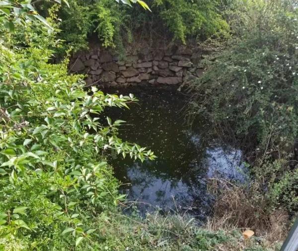 全网关注的兵哥哥,是他! 全网关注的兵哥哥,是他!