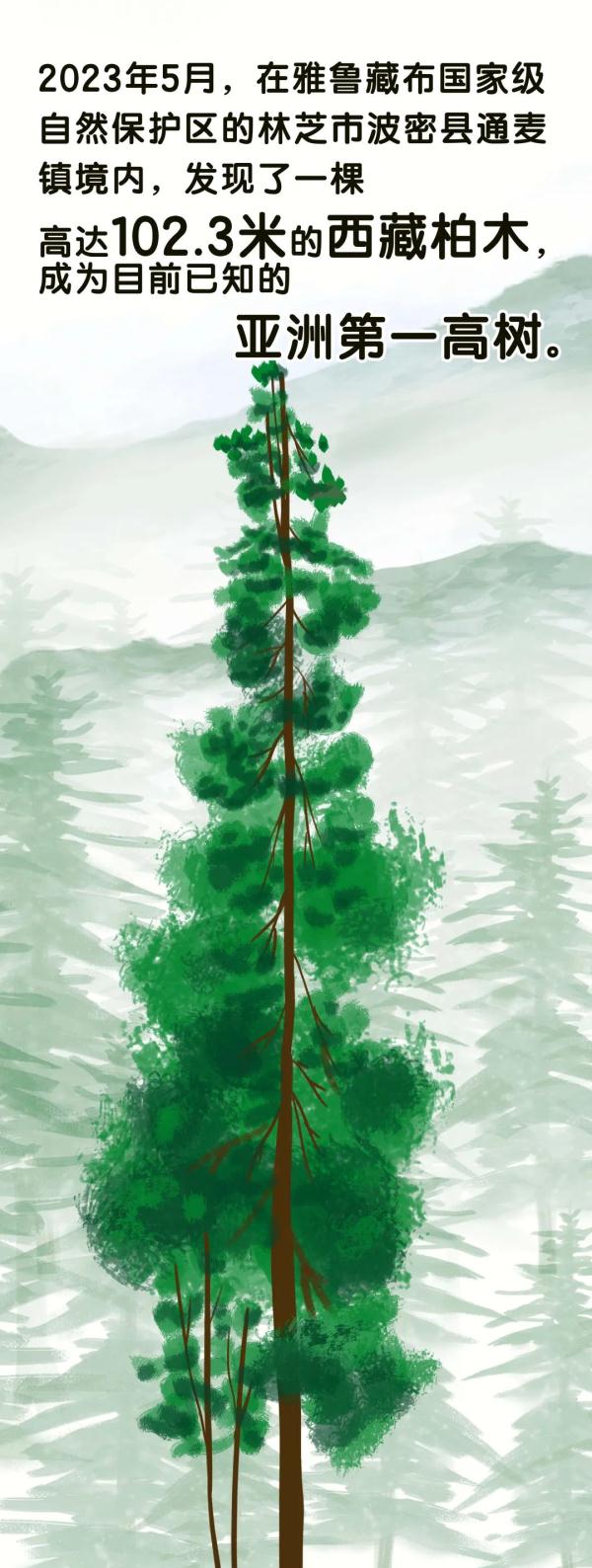 102.3米！刷新亚洲纪录