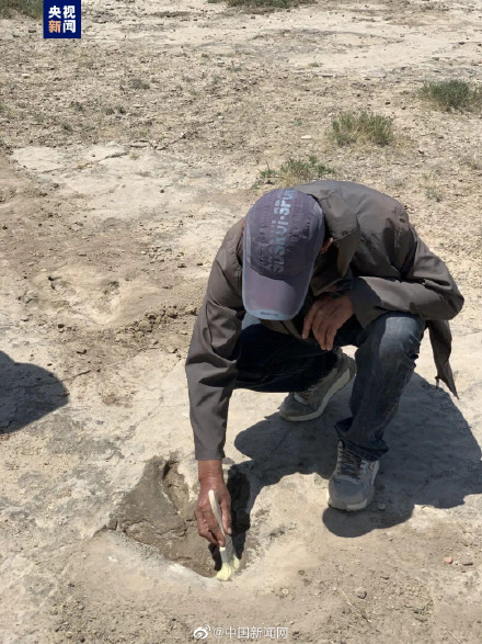 内蒙古发现53个恐龙足迹化石
