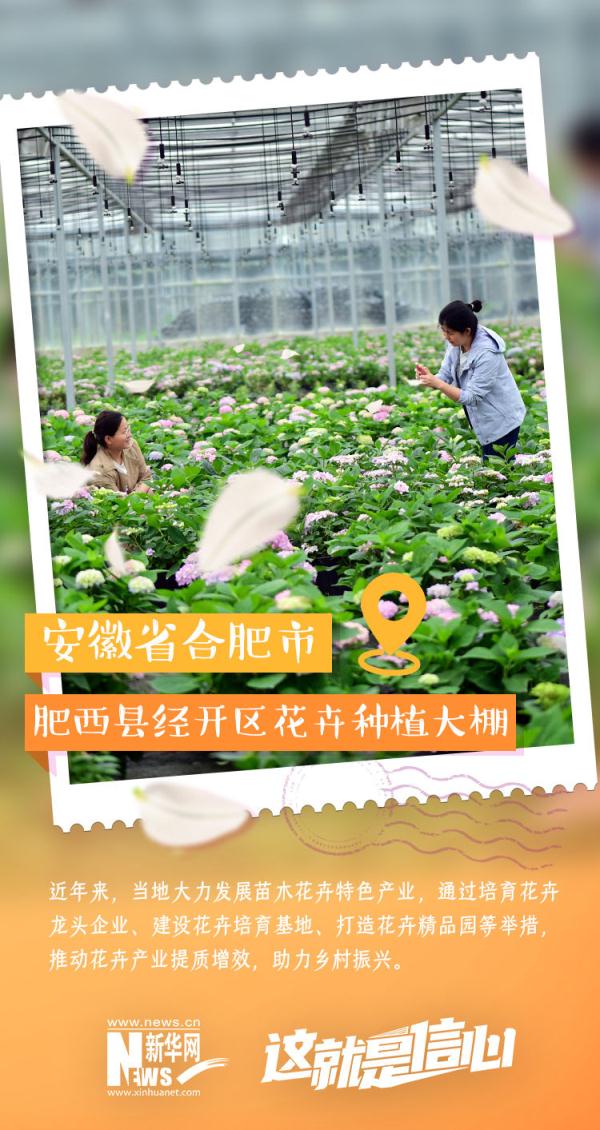 这就是信心｜实现“花样致富” 初夏“花经济”又美又旺！