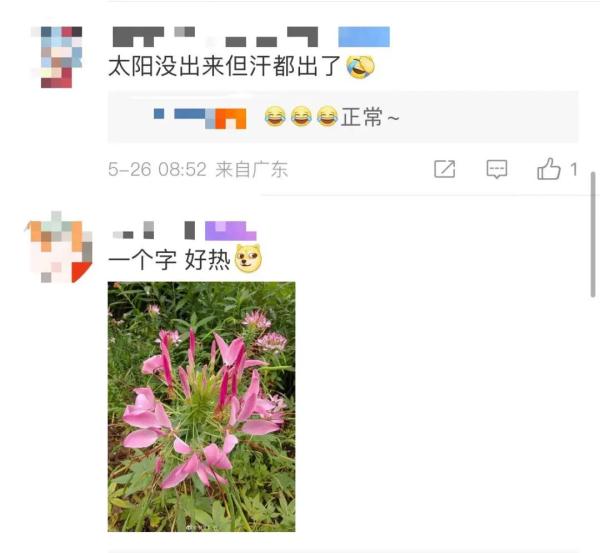 红红火火恍恍惚惚……广式“热辣鸡腿”的天气回来了 红红火火恍恍惚惚……广式“热辣鸡腿”的天气回来了