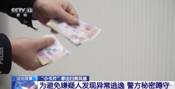 一查到底！一张“小卡片”牵出一场“扫黄风暴”