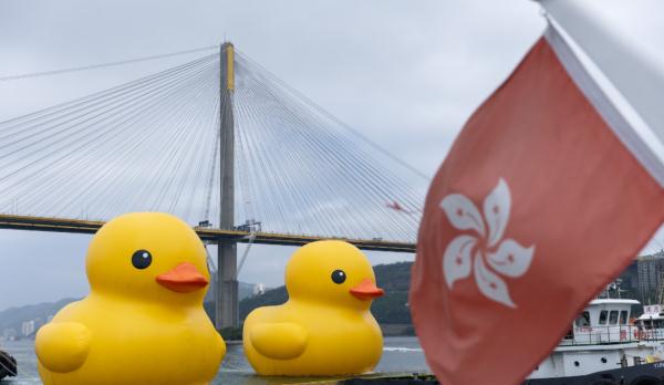 时隔十年!大黄鸭再抵港(单身慎点……) 时隔十年!大黄鸭再抵港(单身慎点……)