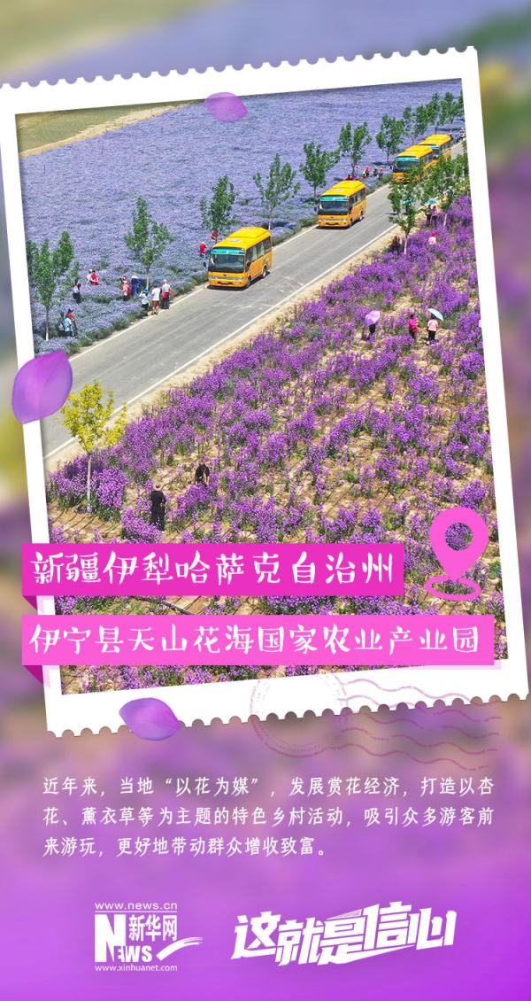 这就是信心｜实现“花样致富” 初夏“花经济”又美又旺！