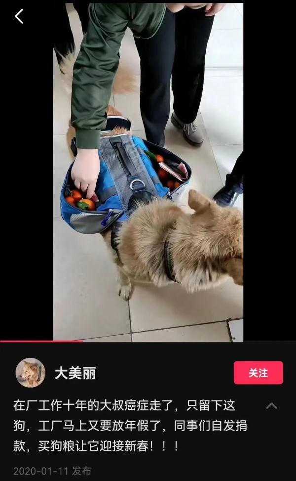 狗子在厂里抓老鼠当模特，月入三千还有工资条！