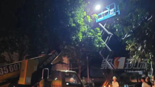 这只小小白鹭牵动了深圳人的心！