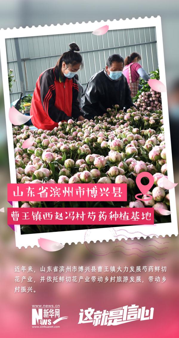 这就是信心｜实现“花样致富” 初夏“花经济”又美又旺！