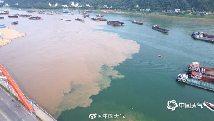 广西梧州出现鸳鸯江景观 一黄一绿泾渭分明