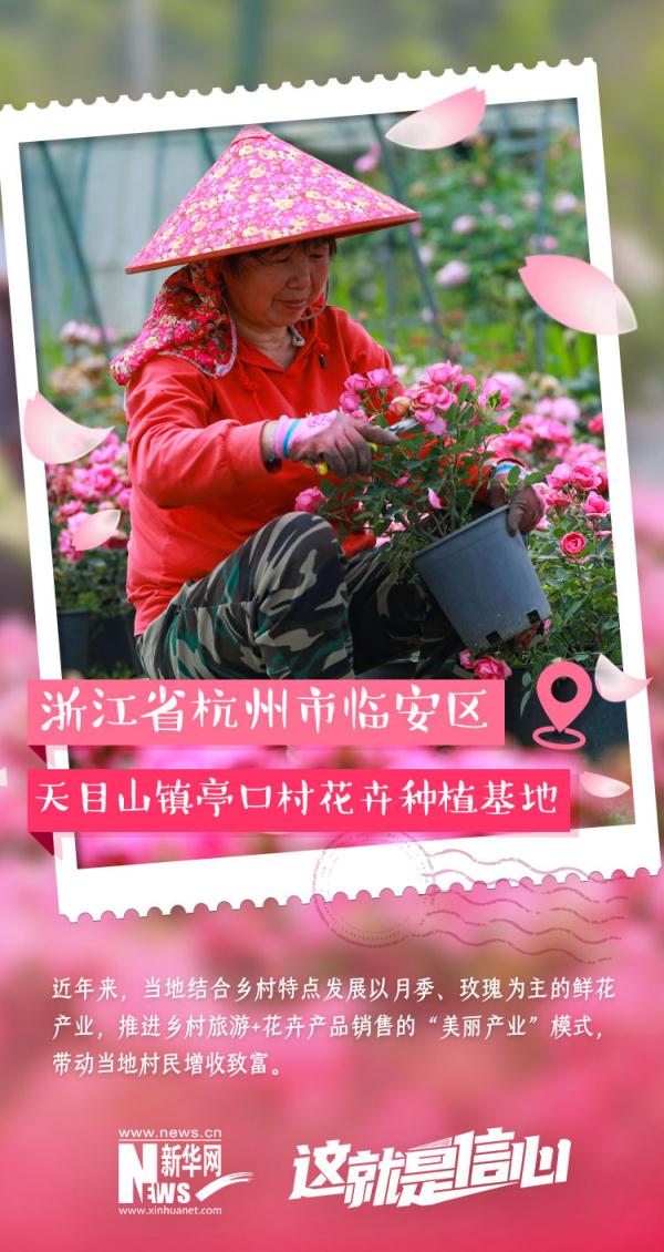 这就是信心｜实现“花样致富” 初夏“花经济”又美又旺！