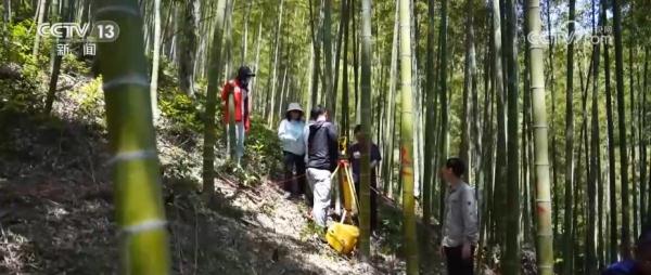 “两山”高效转化富民增收 竹产业全产业链发展焕发新活力