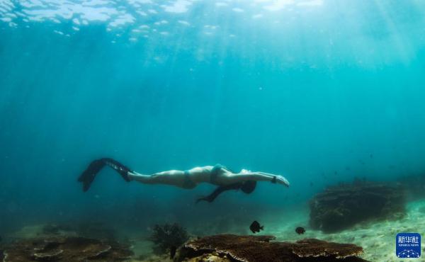 海南陵水：畅潜蔚蓝