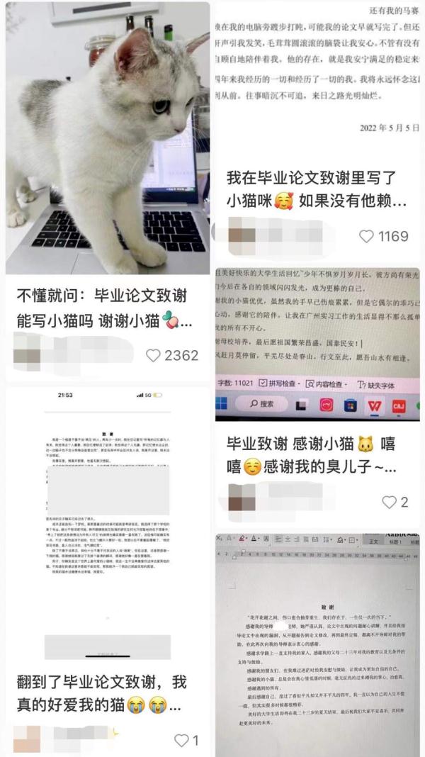 工科生文言文致谢火了！还有更“会玩”的...