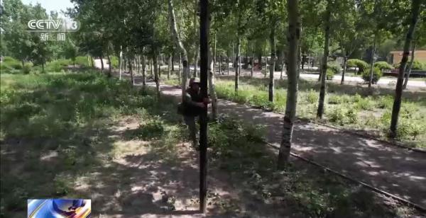 陆军这场跨昼夜专项综合演练的关键词：信息保障