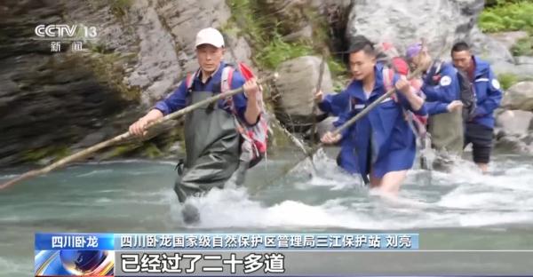 全球唯一，首次公布！