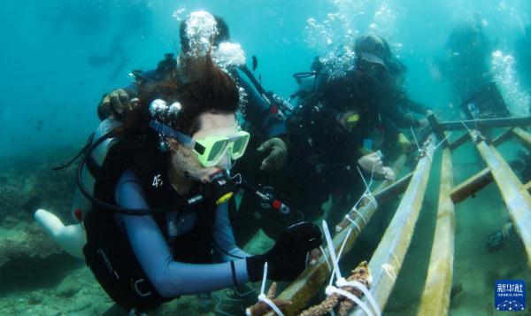 海南陵水：畅潜蔚蓝