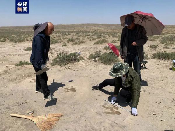 内蒙古鄂托克旗发现53个恐龙足迹化石