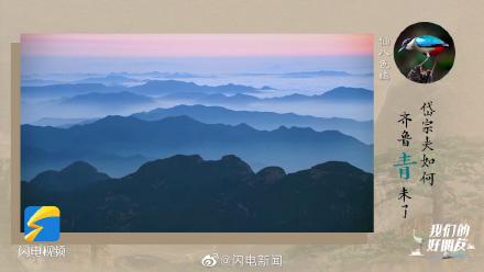 泰山发现370种野生鸟