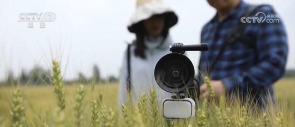“虫脸识别”“北斗夜眼”……一批科技感十足的装备在夏收中表现亮眼