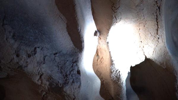 贵阳公园中有神秘洞穴！专家带队，“暗中”探访！