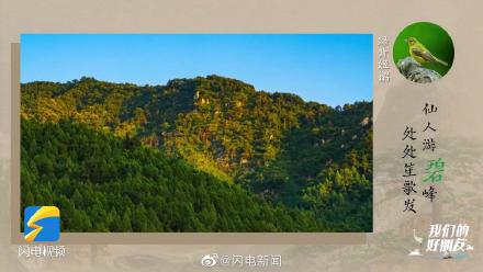 泰山发现370种野生鸟
