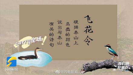 泰山发现370种野生鸟