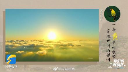 泰山发现370种野生鸟