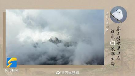 泰山发现370种野生鸟