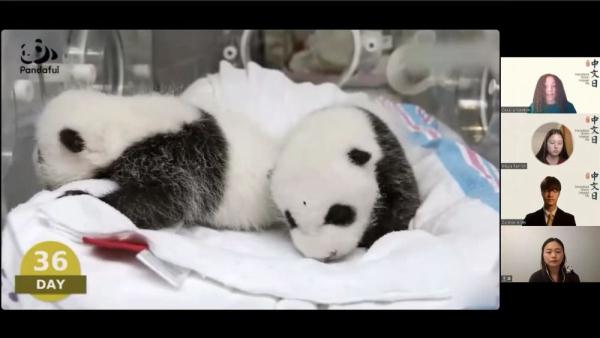 全球连线 | 大熊猫来了，中文热更热！