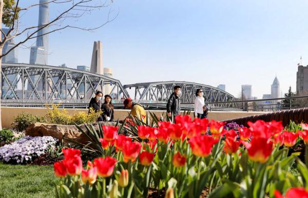 上海解放74周年 看今日魅力苏州河