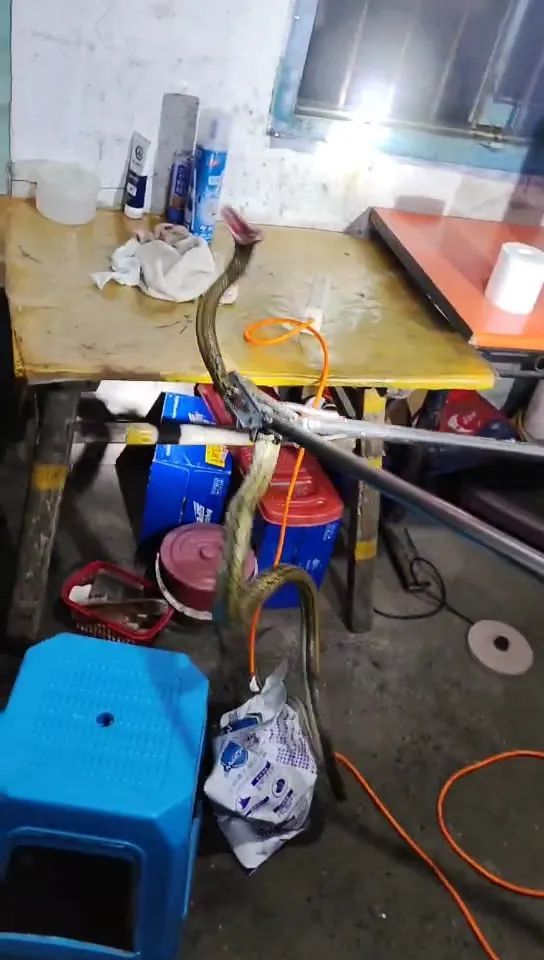 浙江近期高发！多地已接获警情，现场毛骨悚然！
