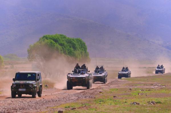 实弹射击演练：火力融合锤炼战场打赢能力