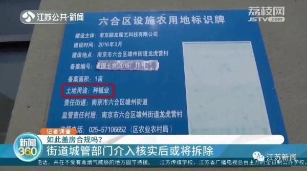 企业在树林里违规搭建上千平方米房屋?为掩人耳目竟在房顶刷绿漆…… 企业在树林里违规搭建上千平方米房屋?为掩人耳目竟在房顶刷绿漆……
