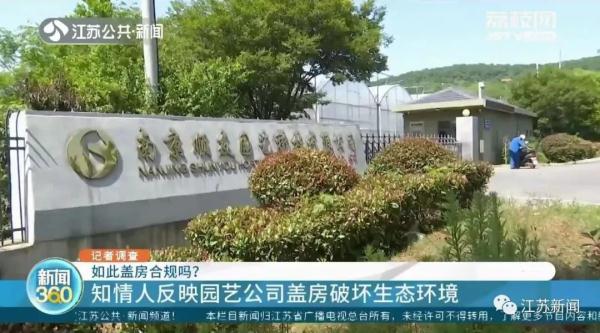 企业在树林里违规搭建上千平方米房屋?为掩人耳目竟在房顶刷绿漆…… 企业在树林里违规搭建上千平方米房屋?为掩人耳目竟在房顶刷绿漆……