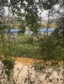 四川小伙被骗至缅北3年后逃脱！当地诈骗团伙发布“40万悬赏令”