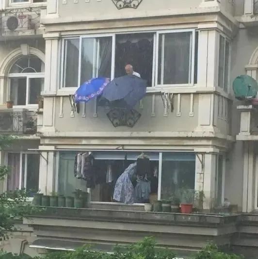 “这条小鱼在乎”刷屏！看着看着就哭了