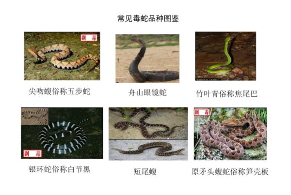 浙江近期高发！多地已接获警情，现场毛骨悚然！