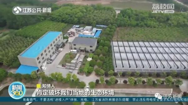 企业在树林里违规搭建上千平方米房屋?为掩人耳目竟在房顶刷绿漆…… 企业在树林里违规搭建上千平方米房屋?为掩人耳目竟在房顶刷绿漆……