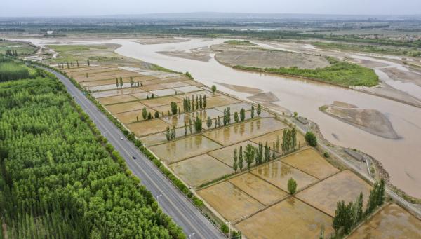 黄河宁夏段夏日景色