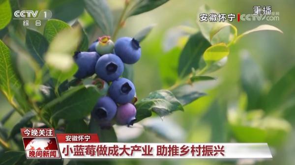 “奔跑”的三夏·瞰丰收