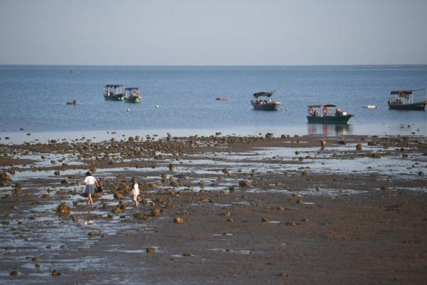 “南极村”风光 “南极村”风光