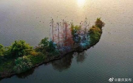 重庆两地入选首批国家林草科普基地