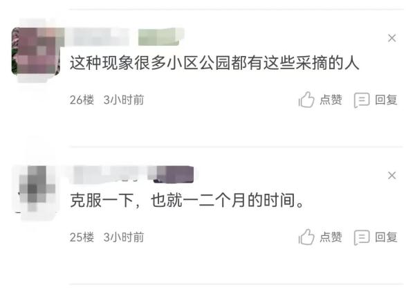 枇杷熟了，居民恼了，“花式采摘”太扰民，解决方法太无语
