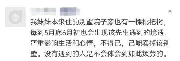 枇杷熟了，居民恼了，“花式采摘”太扰民，解决方法太无语