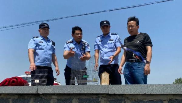 蓝翡翠,回家了! 蓝翡翠,回家了!