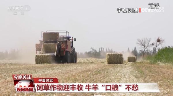 “奔跑”的三夏·瞰丰收